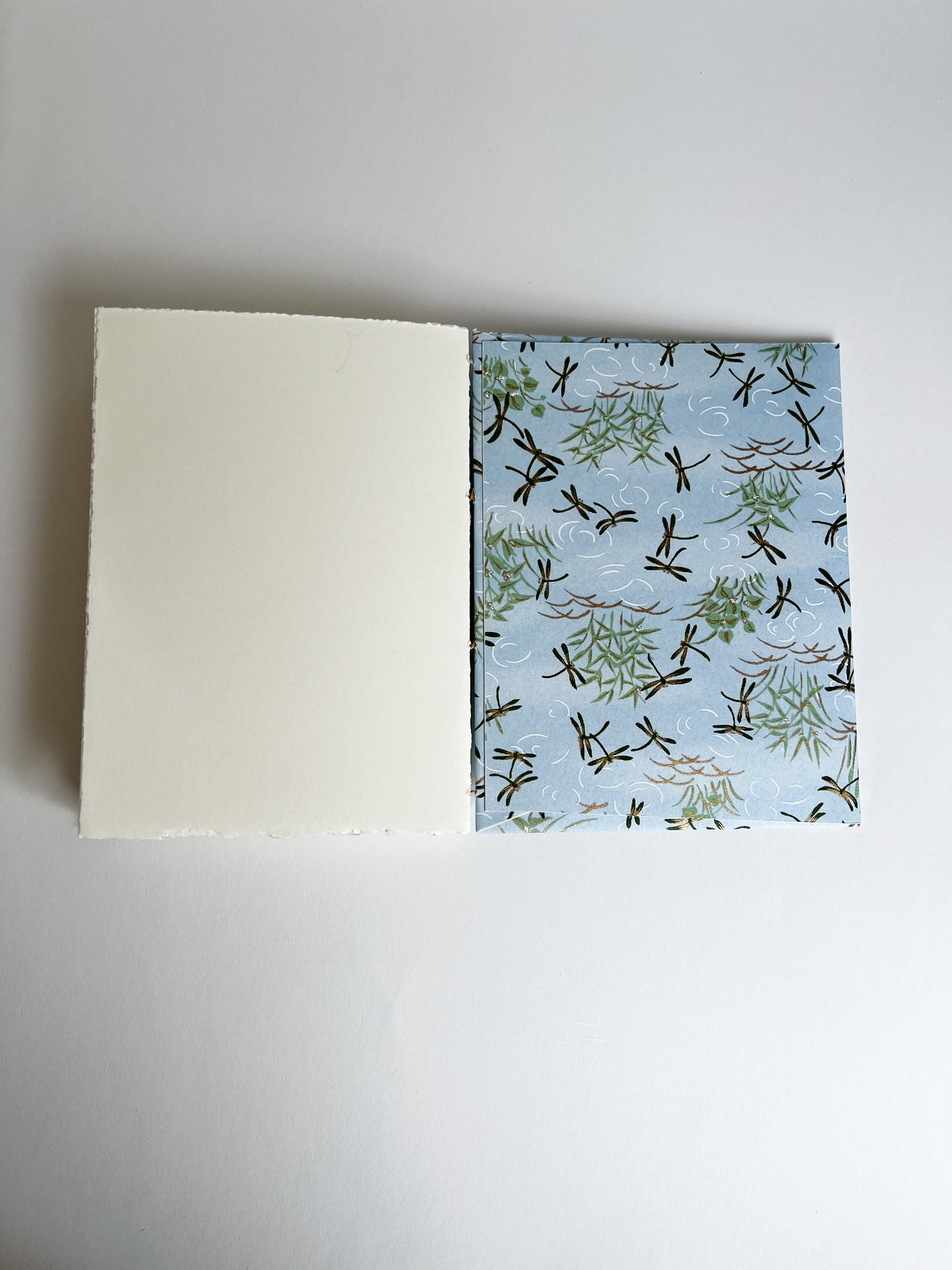 Dragonflies — No. 251