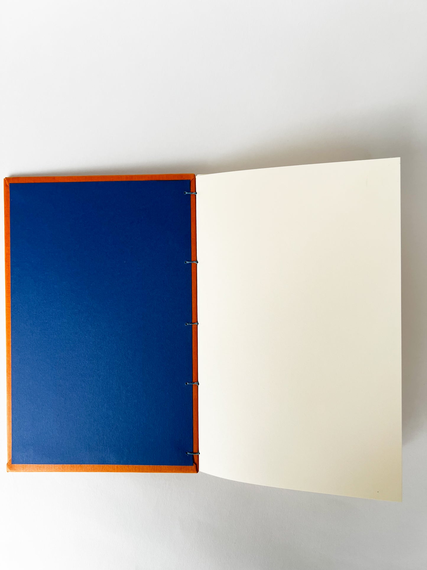 Vermillion Study — No. 100