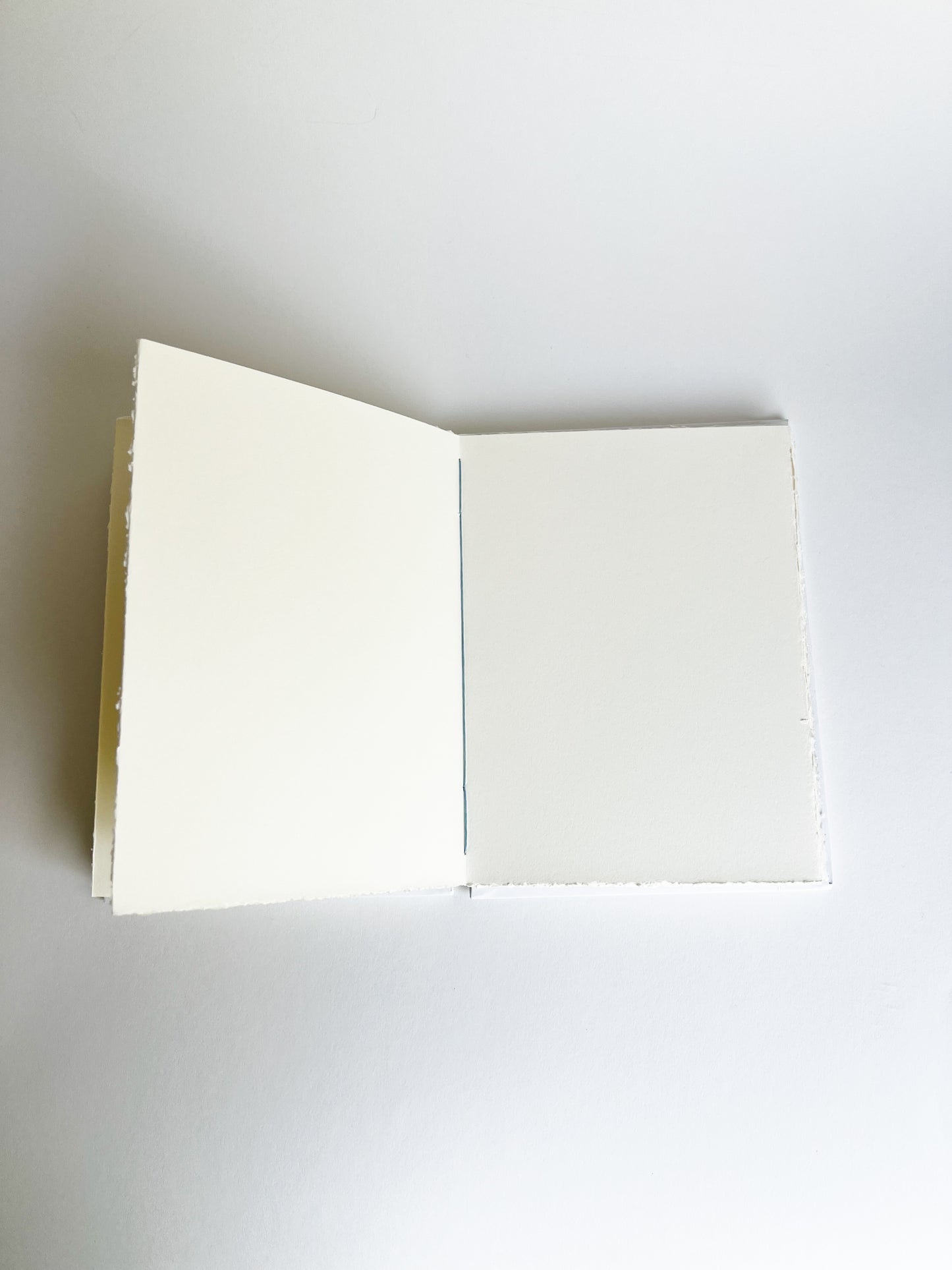 Ivory Study — No. 200