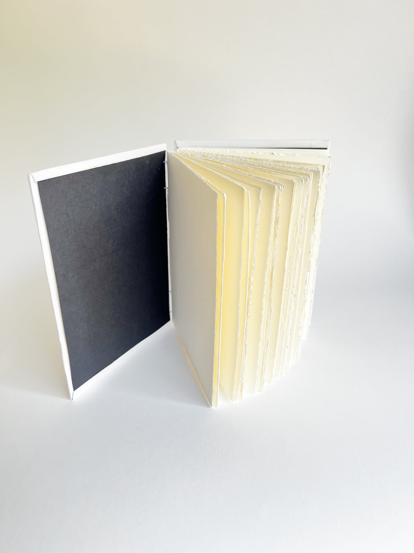 Ivory Study — No. 200