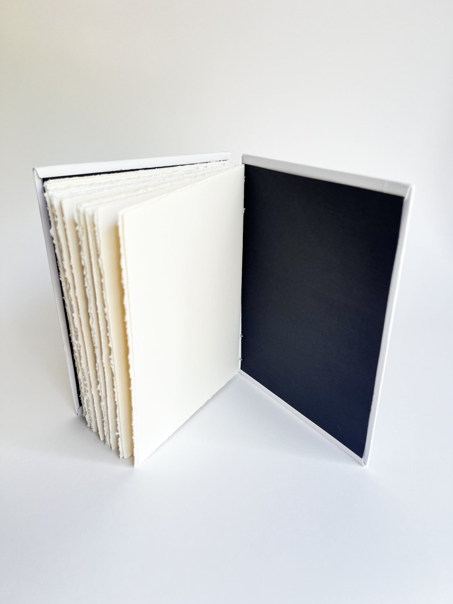 Ivory Study — No. 200