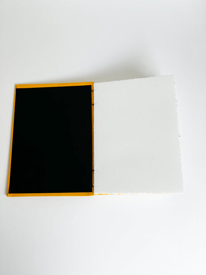 Cadmium Study — No. 201