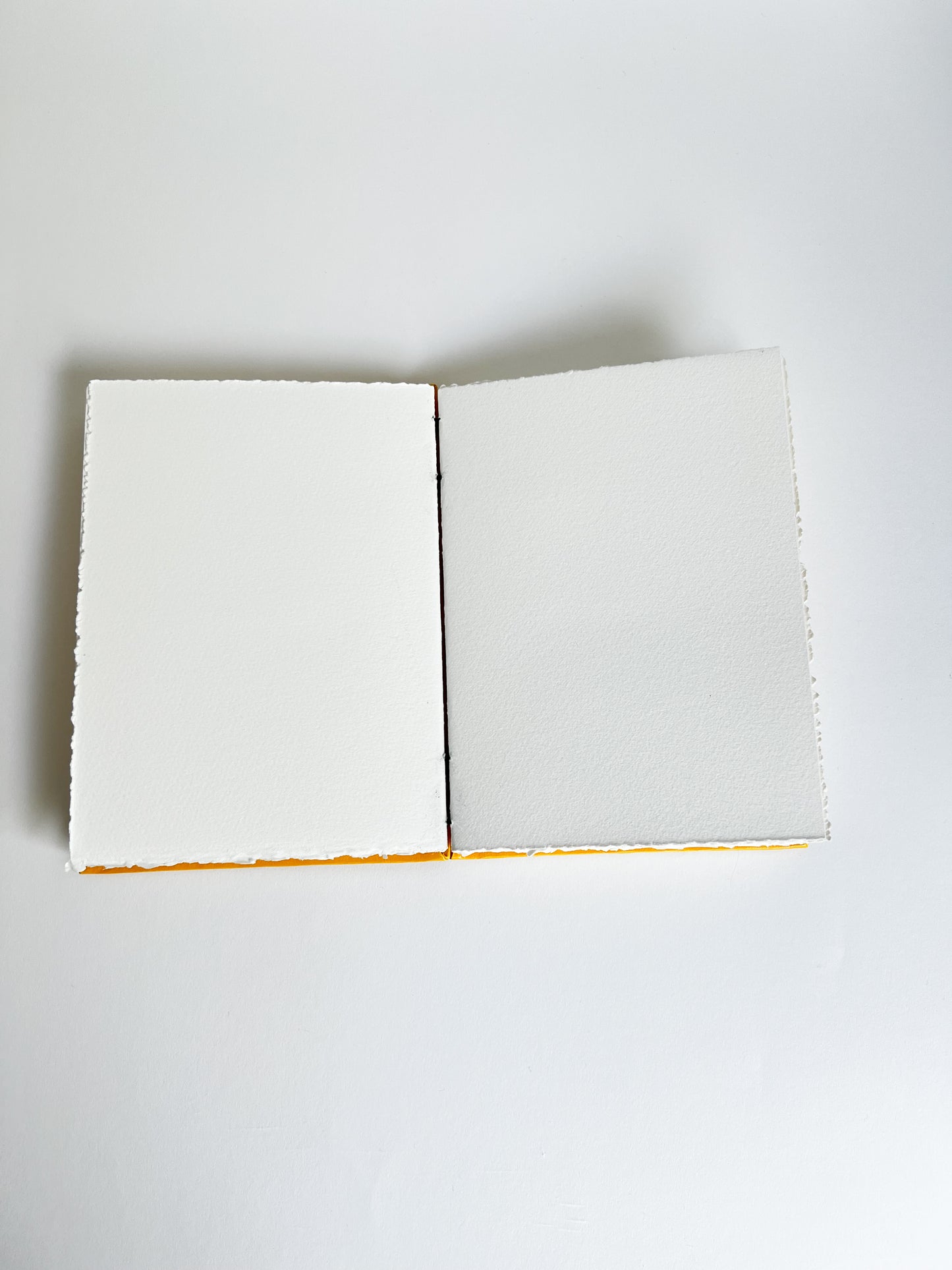 Cadmium Study — No. 201