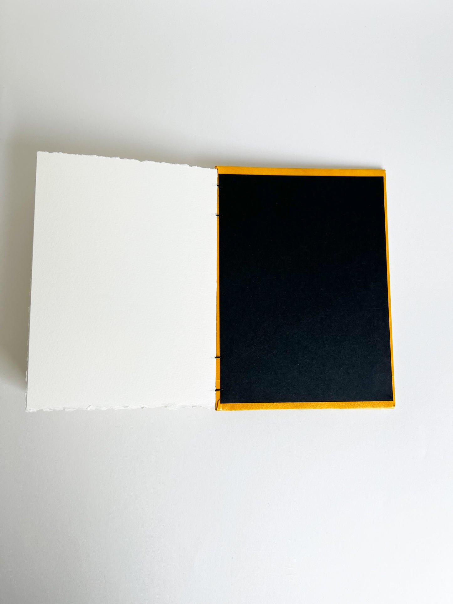 Cadmium Study — No. 201