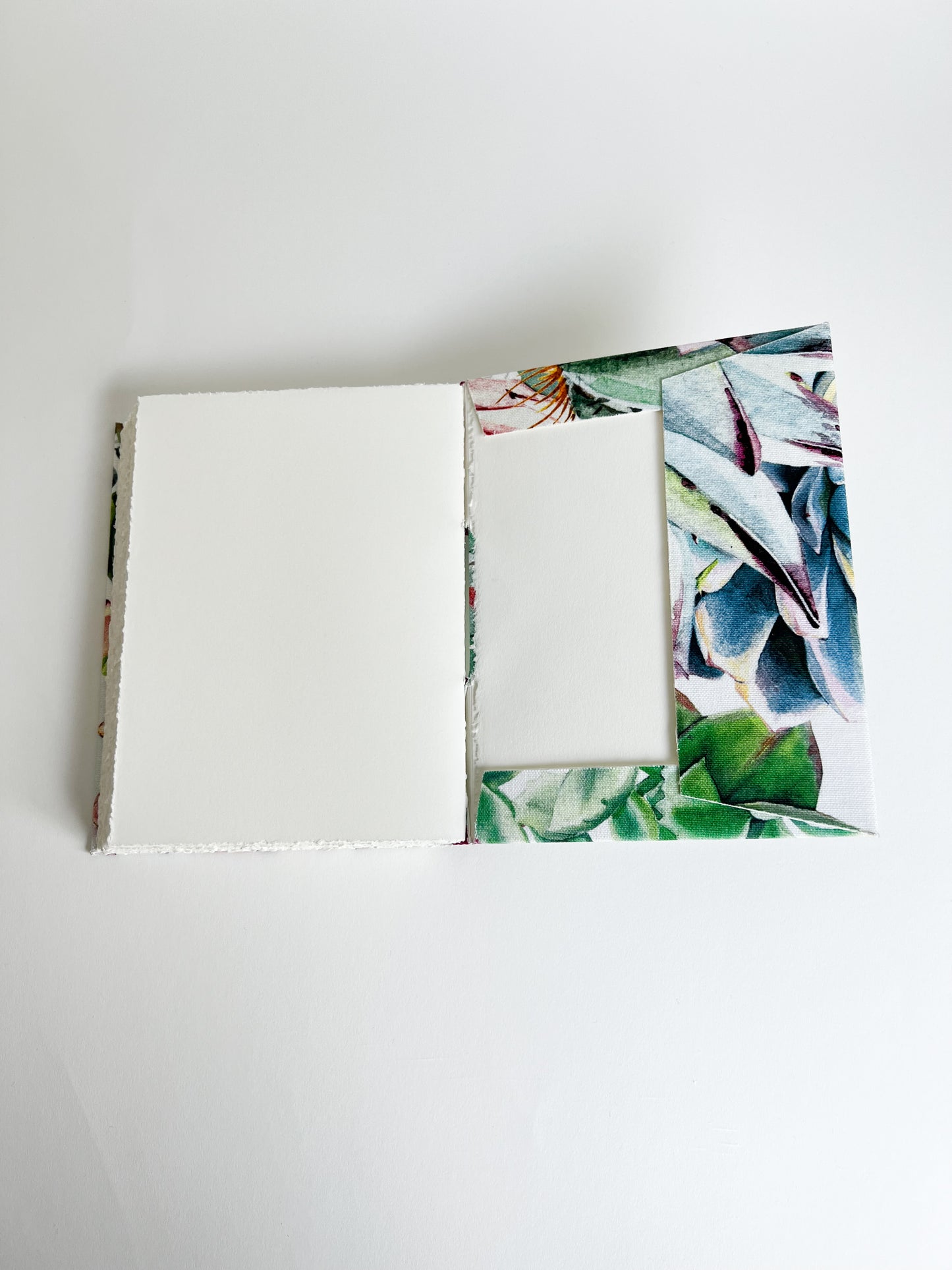Floral Study — No. 231