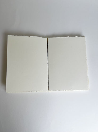 Cream Study — No. 245