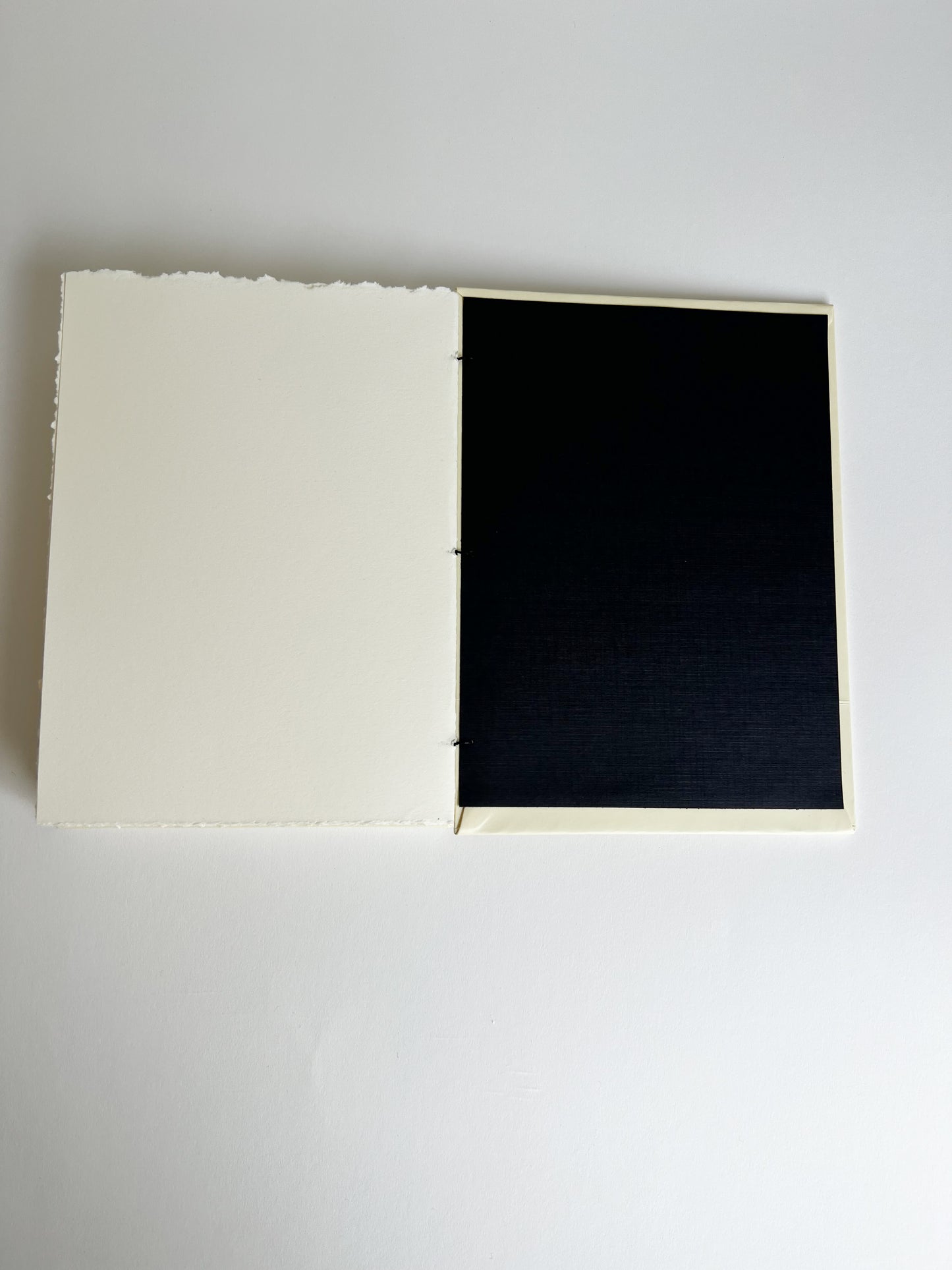 Cream Study — No. 245
