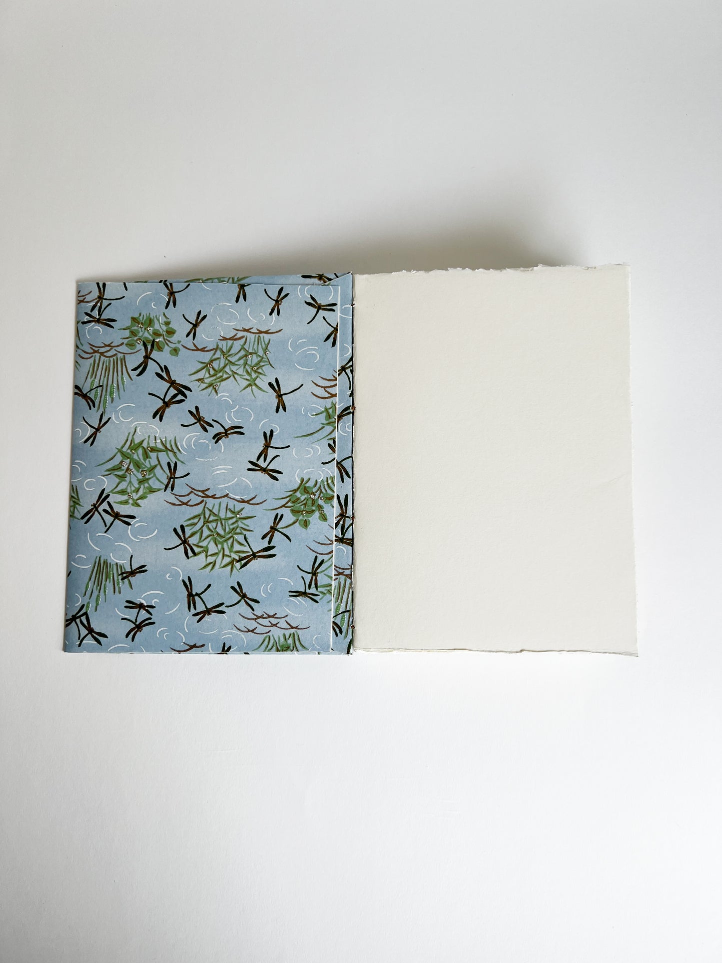 Dragonflies — No. 251