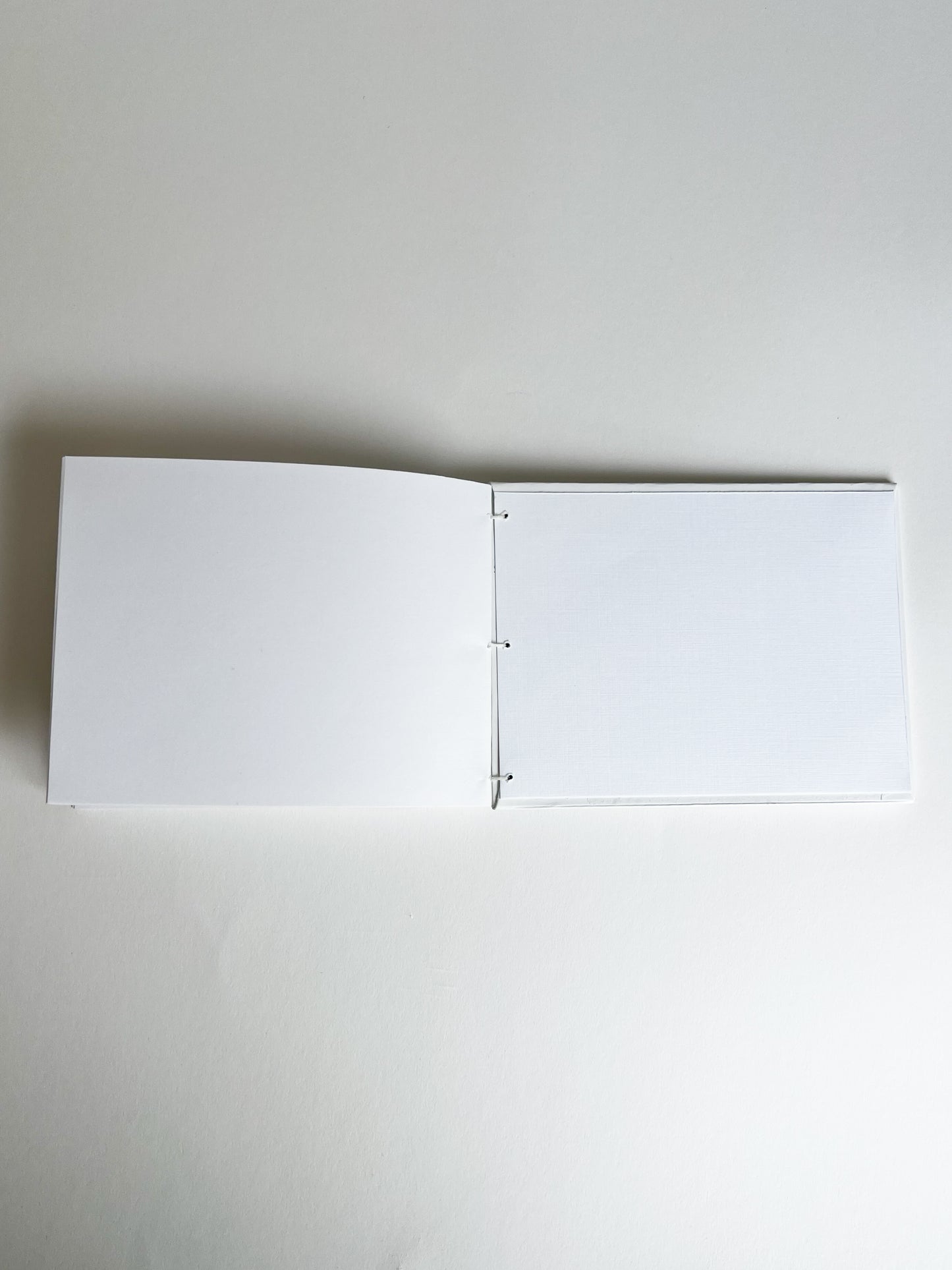 Ivory Study — No. 330