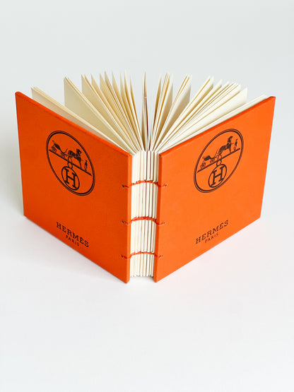 Orange Study — No. 404