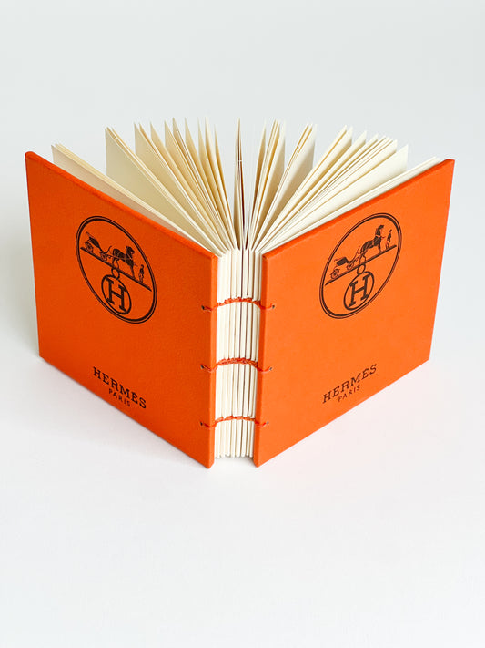 Orange Study — No. 404