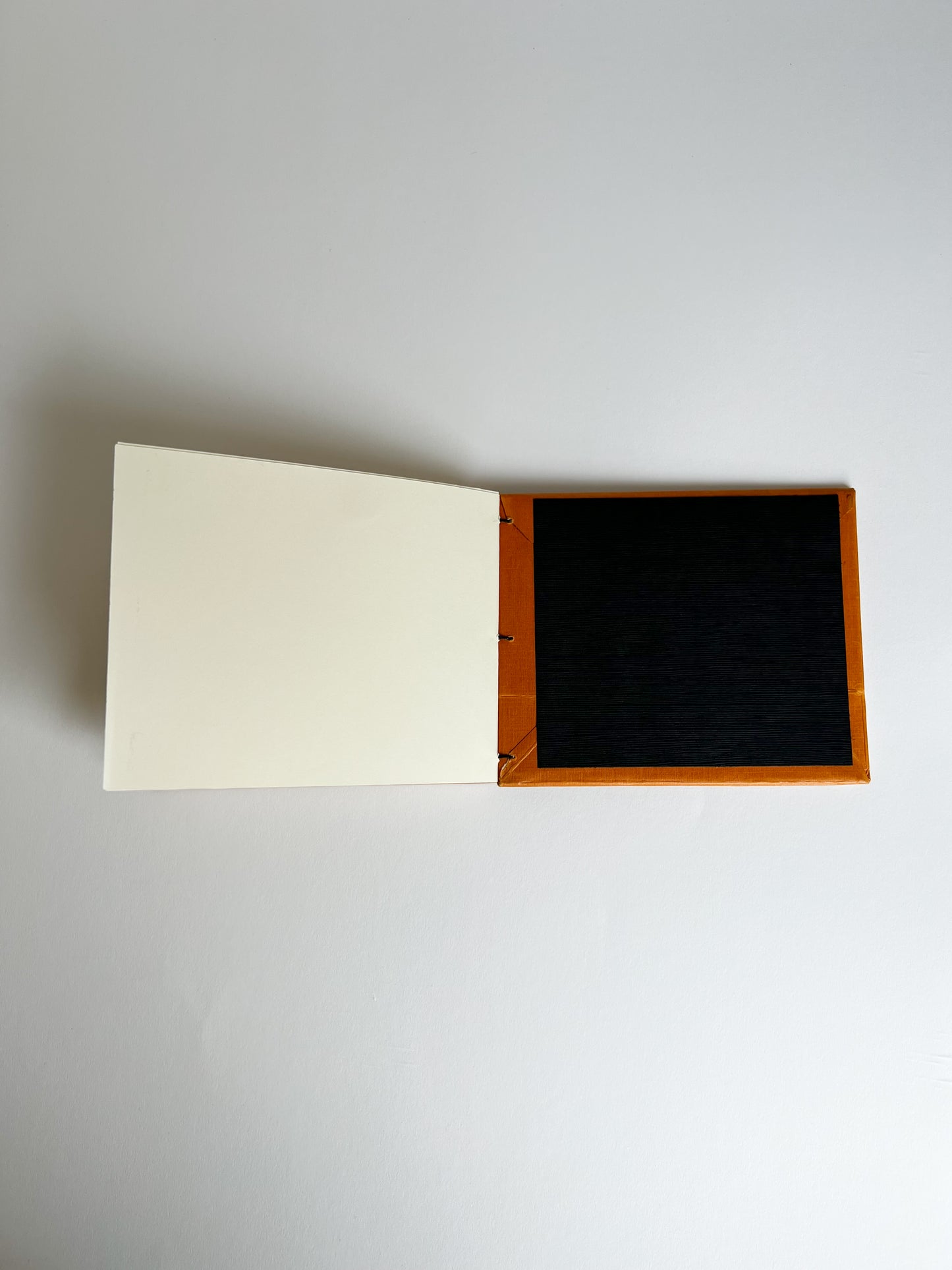 Vermillion Study — No. 300