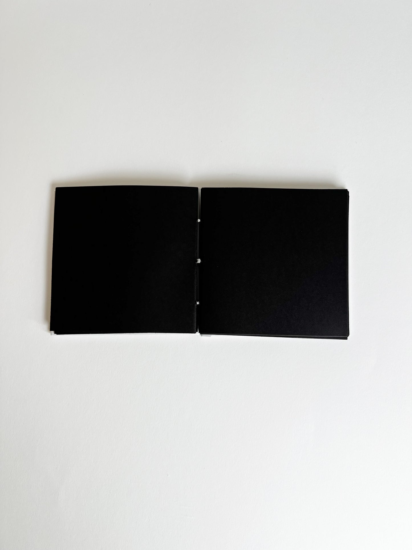 Ivory Study — No. 400