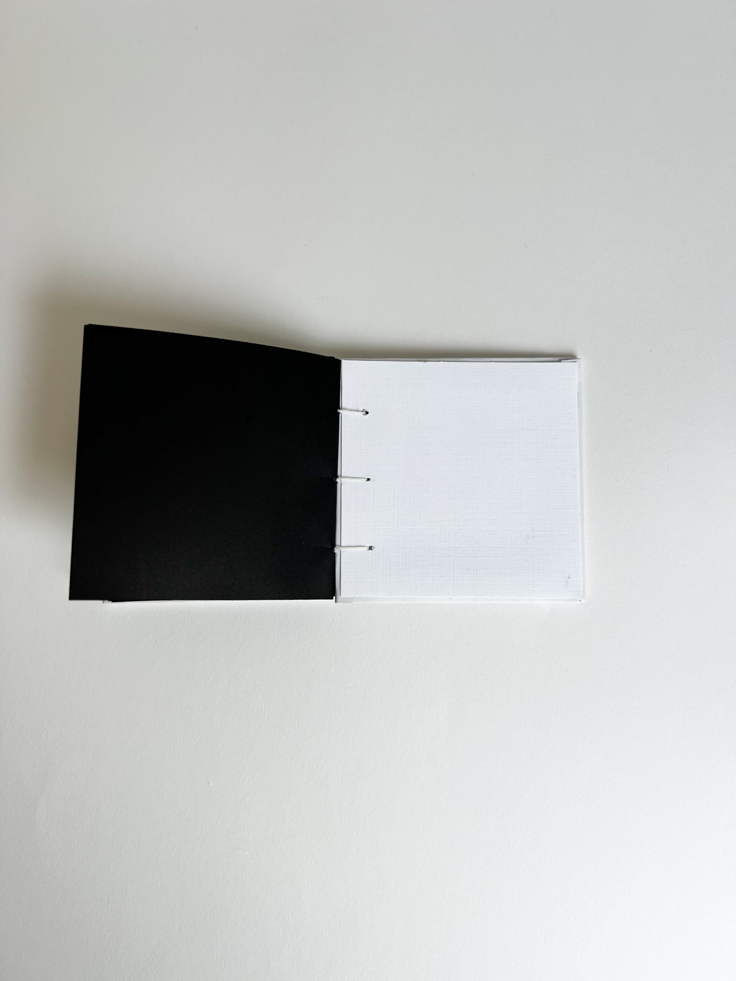 Ivory Study — No. 400