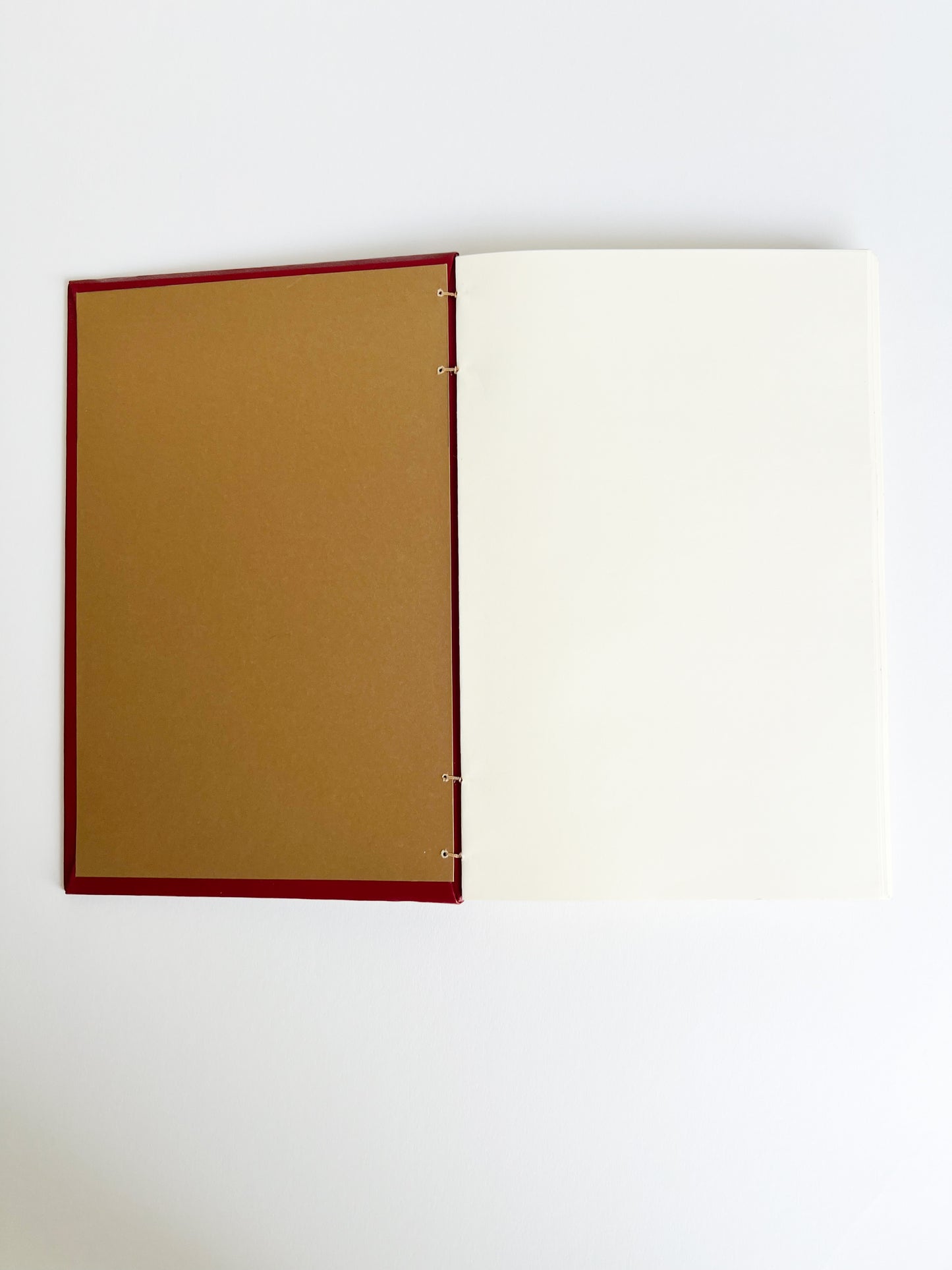 Carmine Study — No. 243