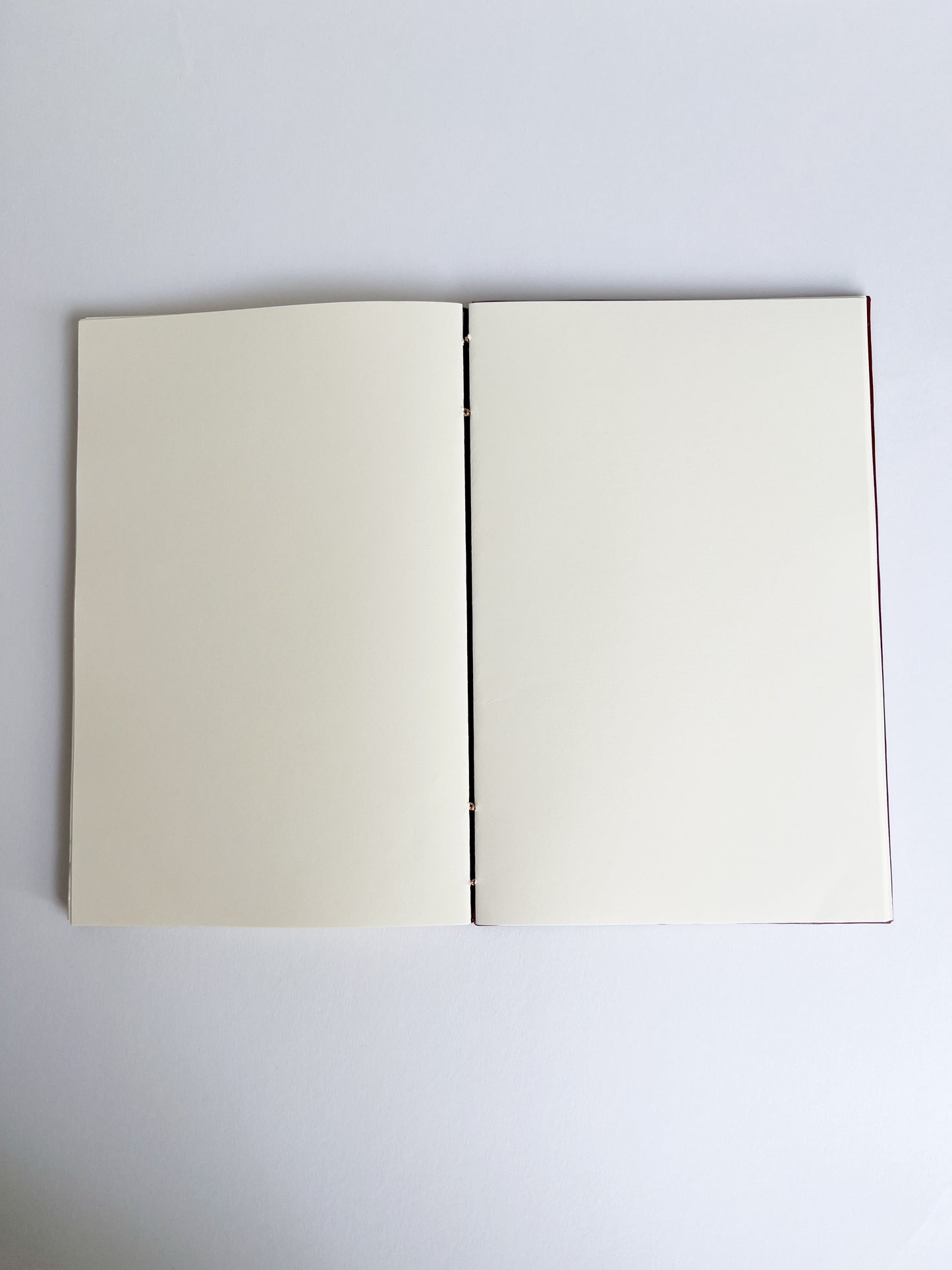 Carmine Study — No. 243