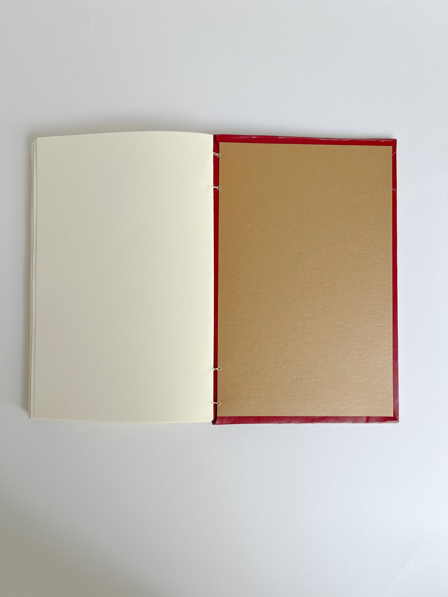 Carmine Study — No. 243