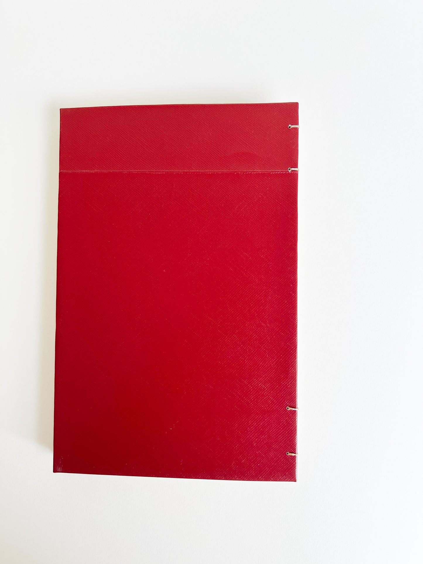 Carmine Study — No. 243