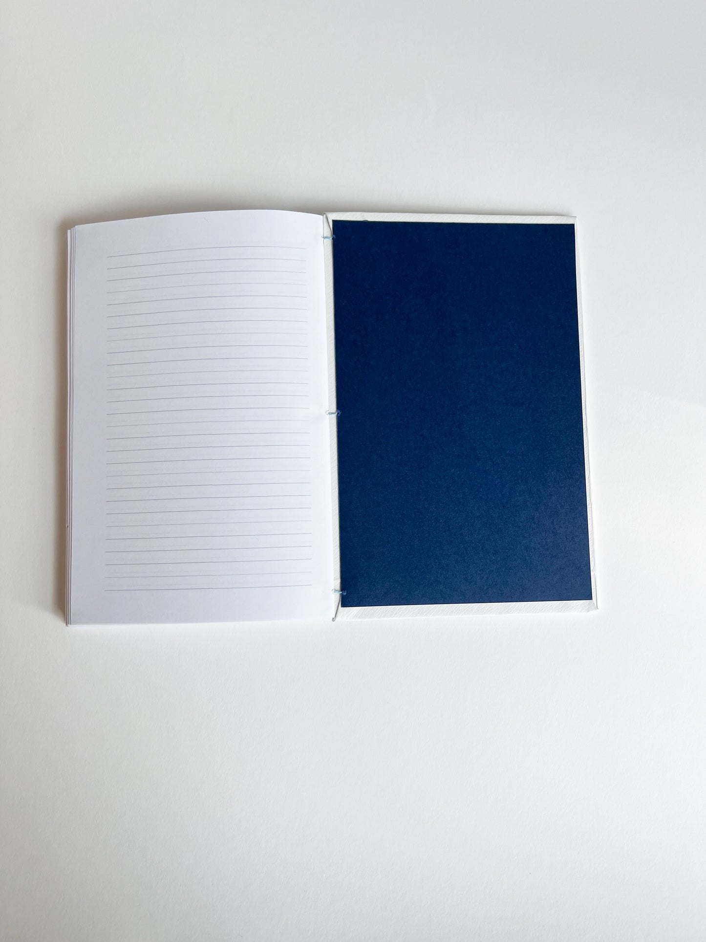 Embossed Study — No. 246
