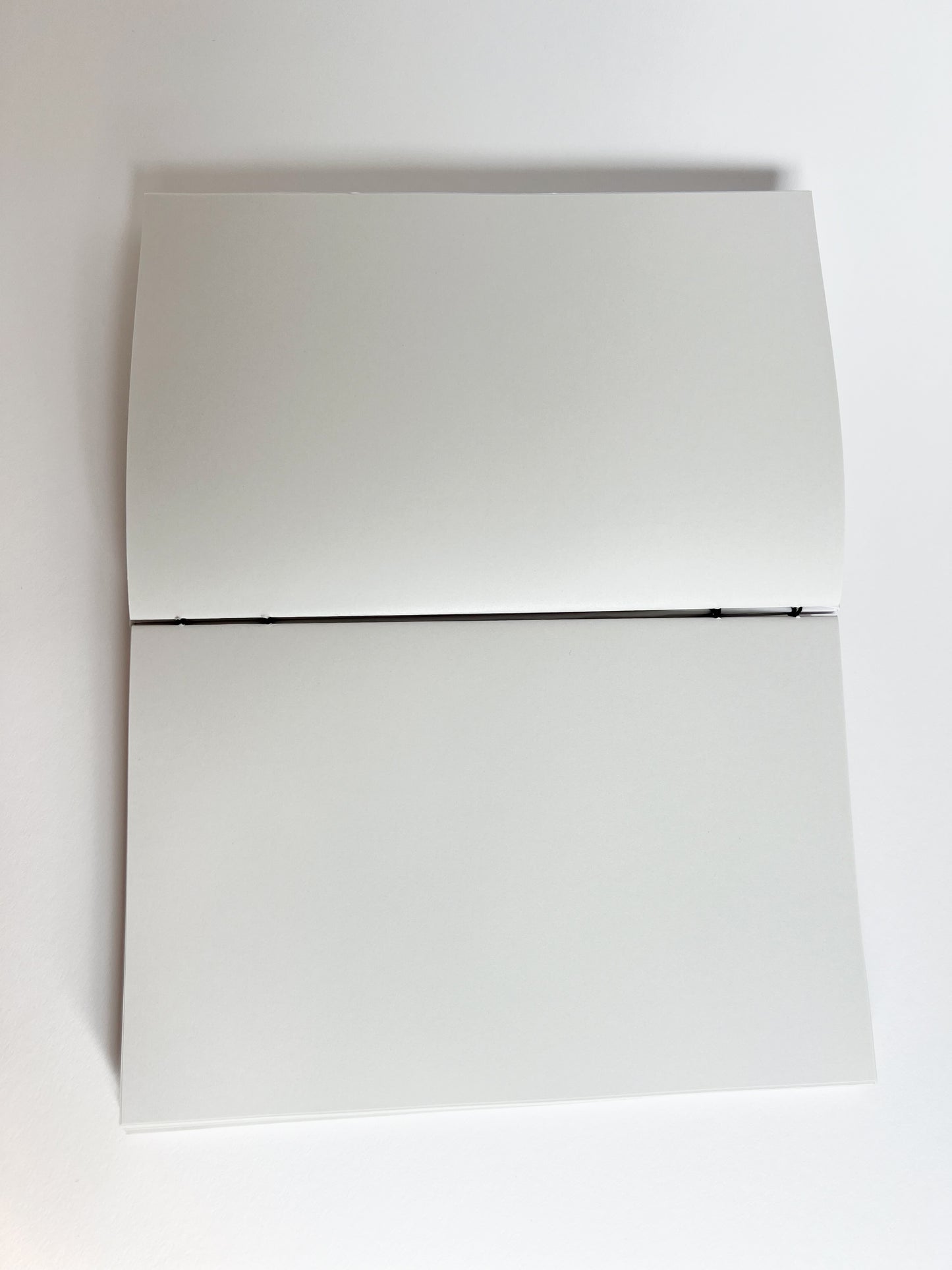 Ivory Study — No. 100