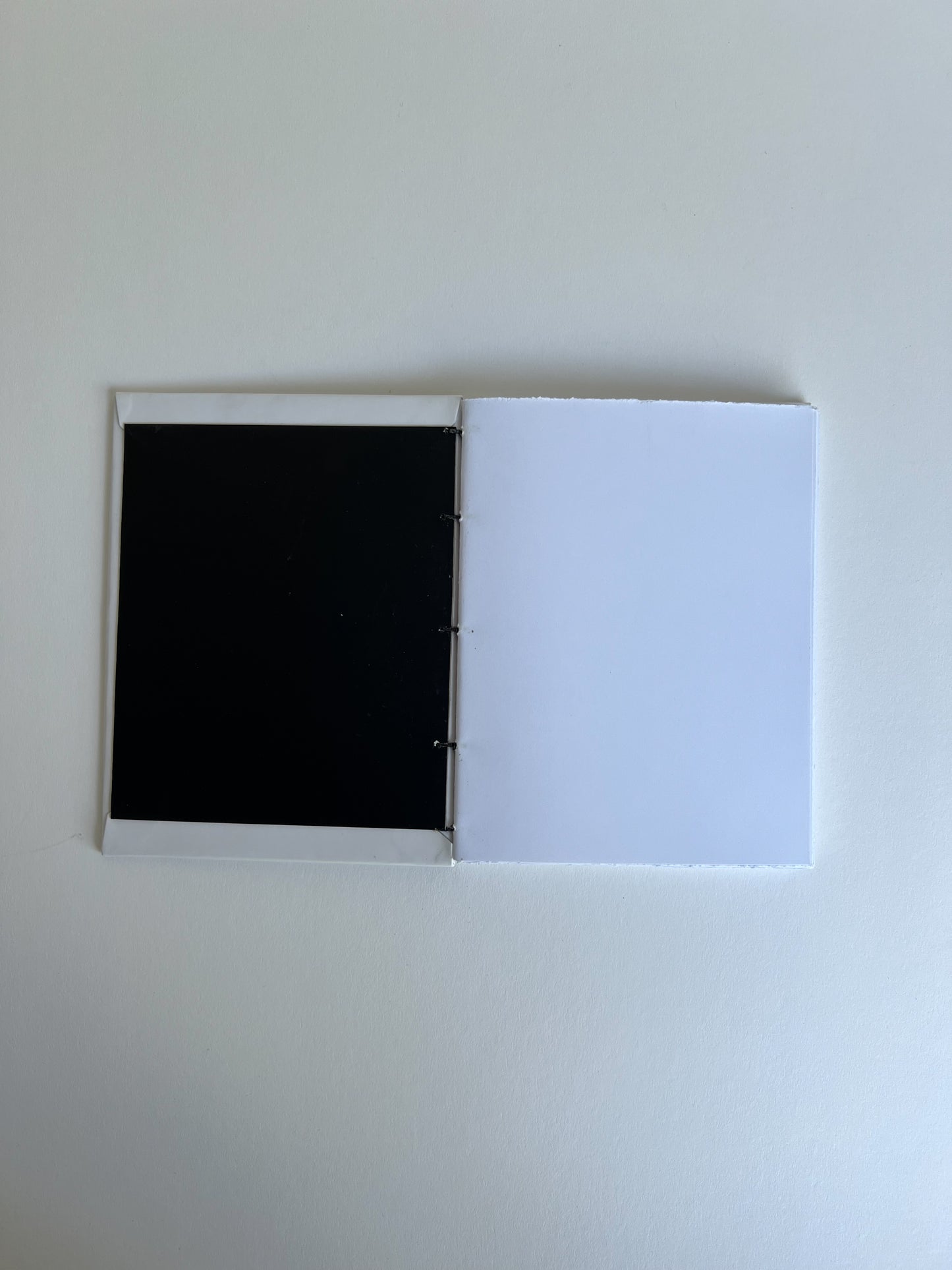 Ivory Study — No. 300