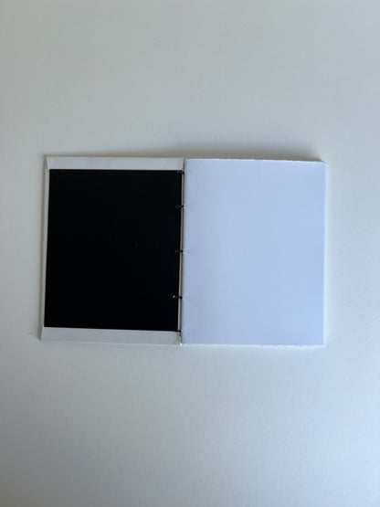 Ivory Study — No. 300