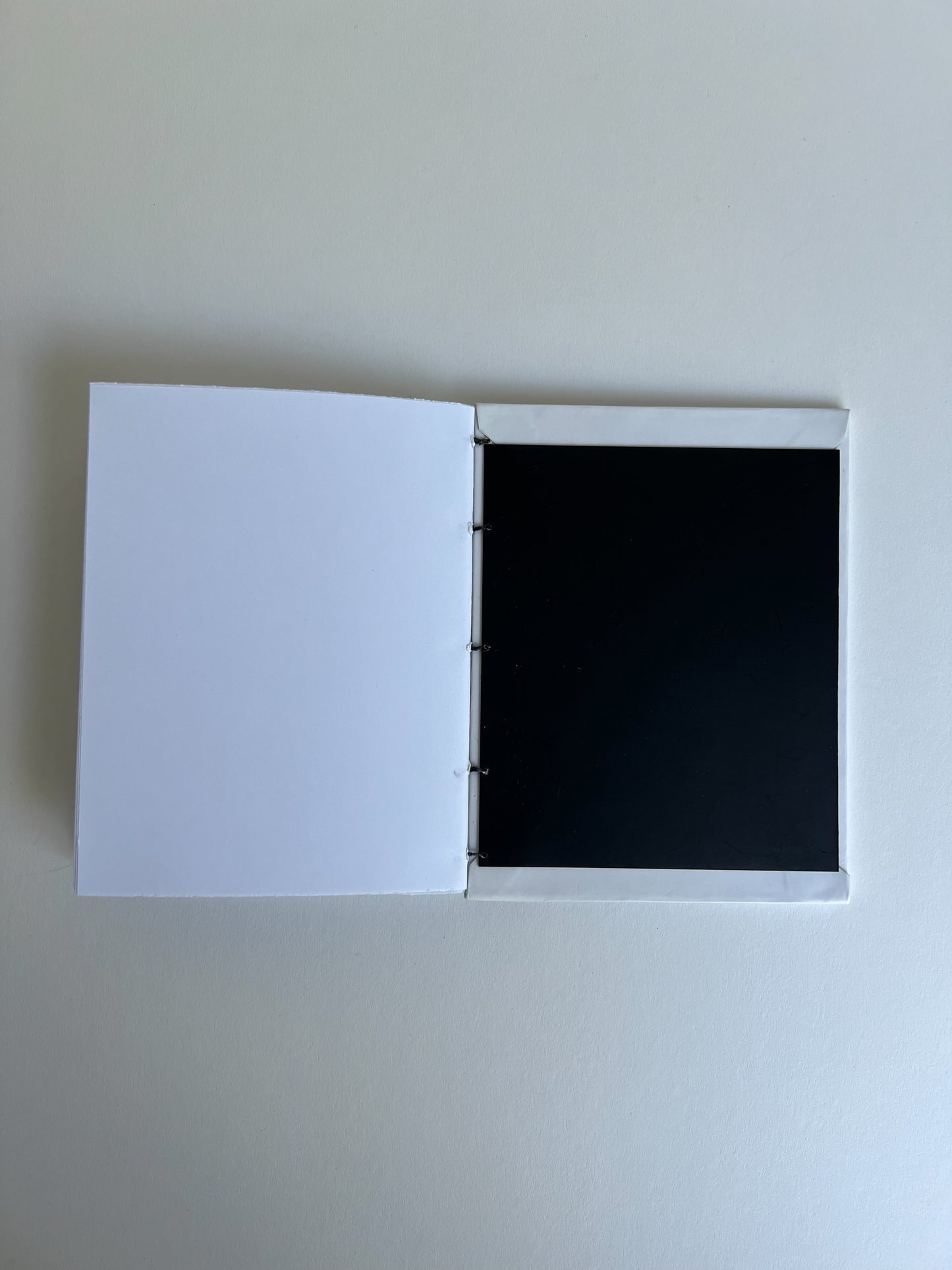 Ivory Study — No. 300